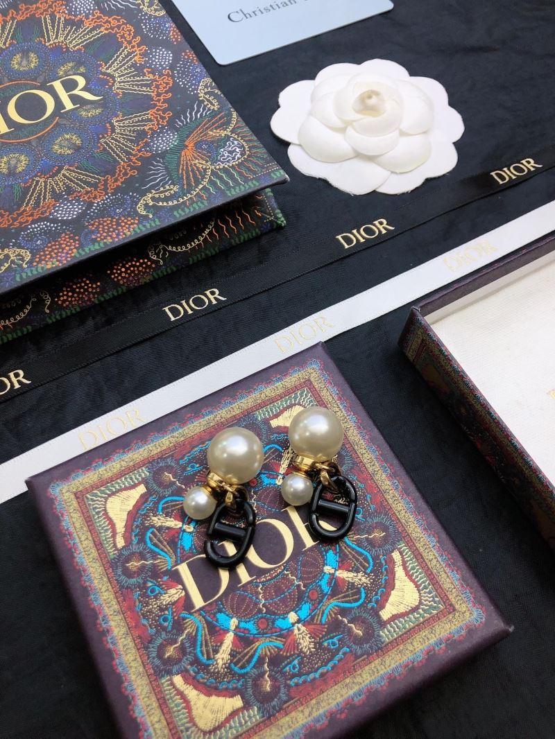 Christian Dior Earrings